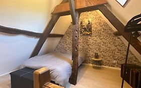 Magnifique Duplex Tout Confort